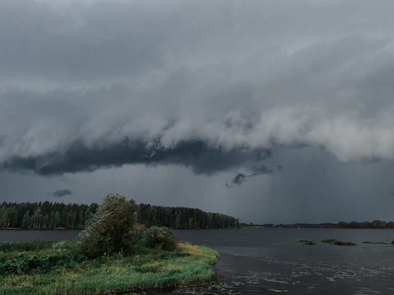 Orages de grêle : ce que l’assurance habitation couvre vraiment au jardin