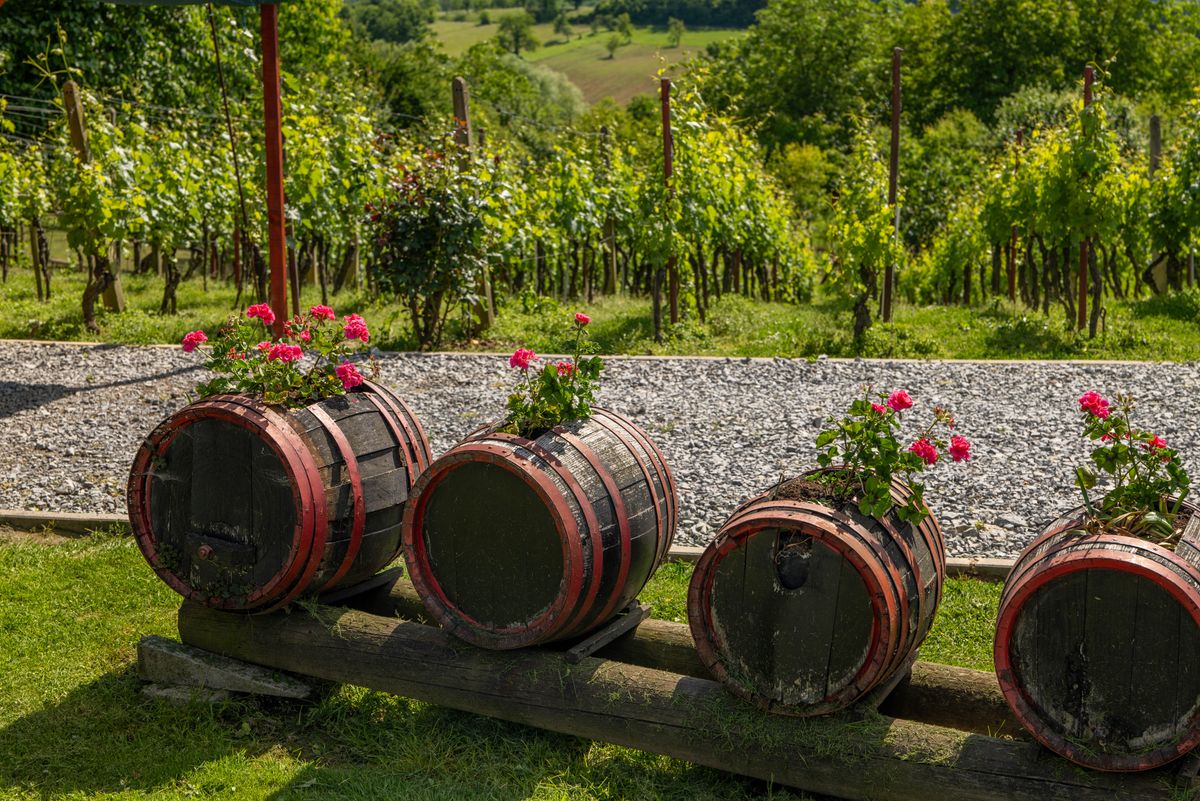Gestion de l'eau au jardin : la SNHF lance une enquête auprès des jardiniers amateurs