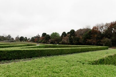 Fête des Jardins de Pommorio : l&rsquo;art topiaire à l&rsquo;honneur les 24 et 25 octobre
