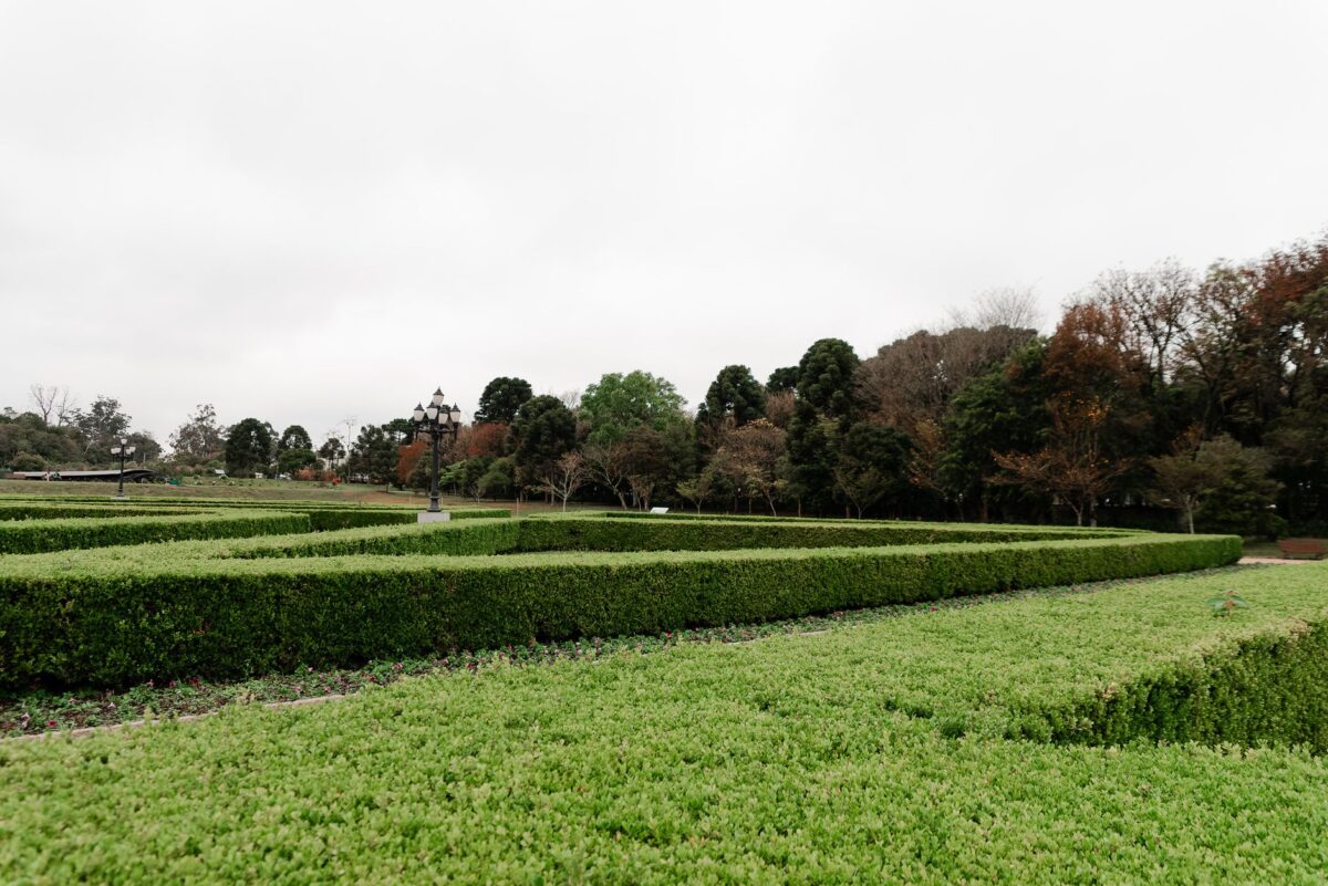 Fête des Jardins de Pommorio : l'art topiaire à l'honneur les 24 et 25 octobre