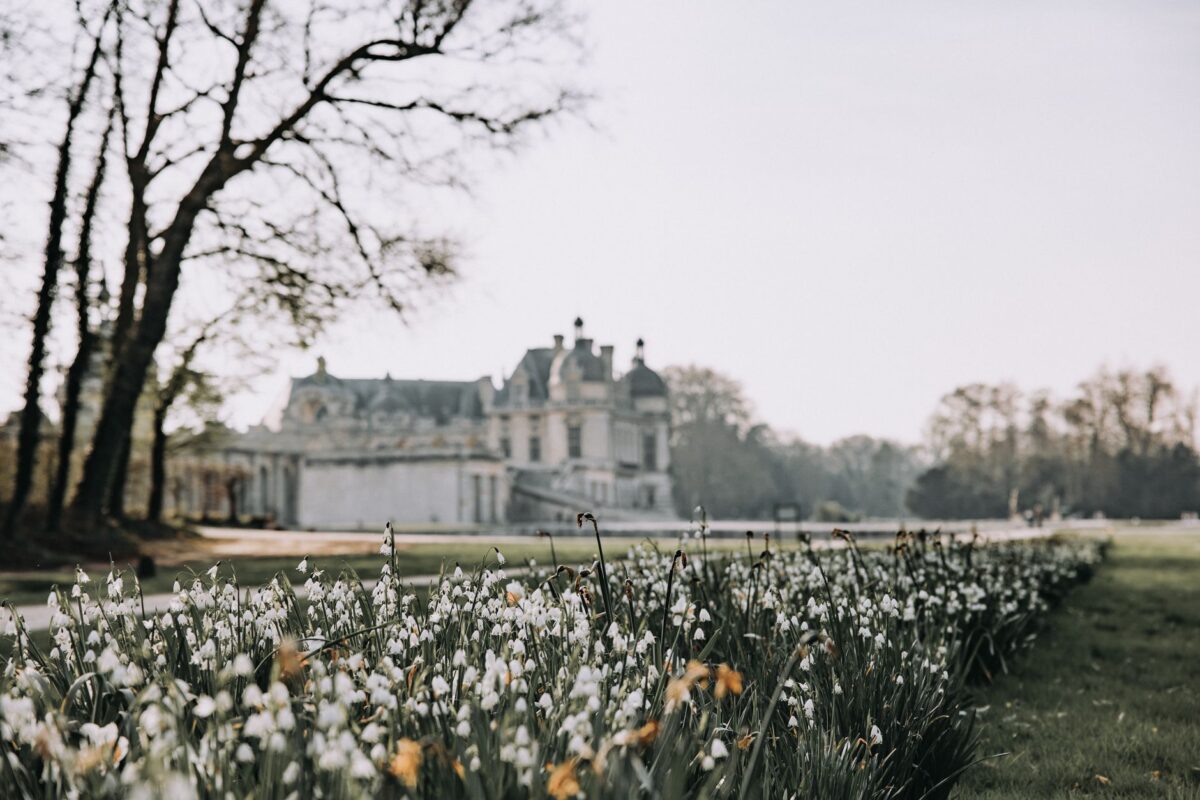 Les As du jardin : la saison 2 s'installe au château de Flaugergues, avec un poney dans le jury